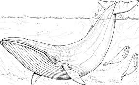 Pin On Coloring Pages