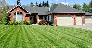 Using a lawn watering guide will help you maintain your turf grass. How To Overseed Or Reseed Your Lawn