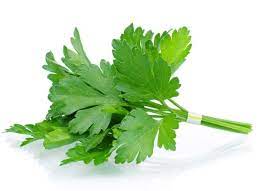 Ya, daun tersebut adalah daun parsley atau peterseli. Something By Tauhhid Kenal Tak Mana Satu Parsley Mana Satu Coriander