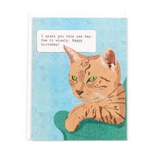 Even i think that cat lovers should have special cards made for their birthdays! I Grant You This One Day Sassypants Design Funny Cat Birthday Card