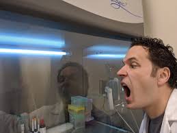 Dafydd Thomas (@welshmaninnj)