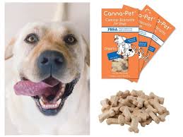 Let's take a look at canna pet cbd and see whether or not it works and is the real. Best Cbd Dog Treats For Joint Pain Calming Anxiety Reviews In 2021