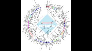 Lagu anak kambing saya termasuk kedalam jenis tempo. Rahvayana Itu Yang Menulis Di Buku Ini Belum Tentu Saya Sebab Rahwana Tak Mati Mati