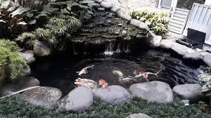 Selain untuk memperindah design interior sebuah rumah. Kolam Ikan Koi Kecil Nuansa Batu Alam Youtube