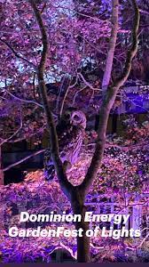 Dominion Energy Gardenfest Of Lights An Immersive Guide By Lewis Ginter Botanical Garden