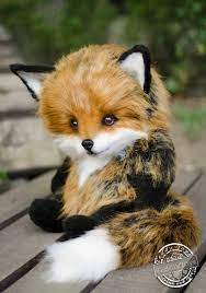 Pin On Fox