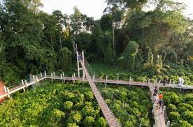 Tidak banyak tempat menarik di bukit mertajam, kebanyakannya adalah restoran sedap. 15 Tempat Menarik Di Butterworth Ramai Tak Tahu Wajib Datang Ammboi
