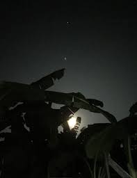 35 gambar rumah idaman sederhana di desa yang. Ramadhan 1439h Hari Ke 14 Bulan Nampak Terlalu Indah By Me From Belakang Rumah Di Kampung Halaman Gombong Plant Leaves Outdoor Plants