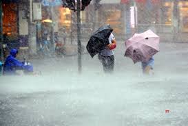 The typhoon already hit the city of zhanshan in the zhejiang province south of shanghai earlier on sunday, with winds reaching speeds of more than 136kph, according to chinese media. China Shanghai Typhoon Lekima Gallery