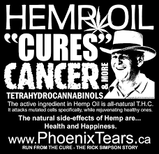 Rick Simpsons Cannabis Oil Alchimia Blog