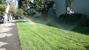 The question of how much to water and how often has no single answer. What Is A Syringe Cycle For Lawns Emil Yedowitz Landscaping And Irrigation Solutions