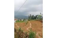 Jual Tanah di Ciwidey, Bandung | Harga Tanah Permeter | 99.co