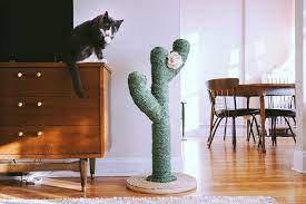 I figured for the price it was going to be more of a cactus not sure how it holds up to regular use, but i can't complain since i spent less than $20 on it. Make A Super Cute Cactus Scratching Post Best Friends Pizza Club