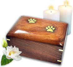 We did not find results for: Lindia Artisans Beautiful Wooden Pet Urn With Brass Paw Design Small Size Supports 15 Lbs Pet Rosewood Pet Cremation Urn Perfect Memorial Pet Urns For Dog And Cat Ashes Small
