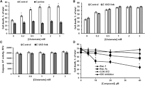 Type of animal cell that has few mitochondria. Acid Sphingomyelinase Promotes Mitochondrial Dysfunction Due To Glutamate Induced Regulated Necrosis Journal Of Lipid Research