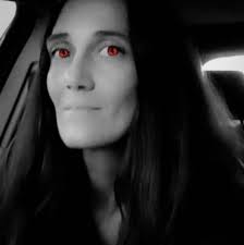 How to help a lost dog in Roque Bluffs, Washington county?