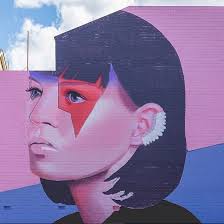 First Coat Toowoomba Queensland Australia 20 29 May 2016 Lisa King Street Art 3d Street Art Street Art Graffiti