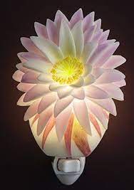 Amazon Com Cactus Flower Night Light Ibis Orchid Flowers Of Light Collection Home Kitchen Night Light Radiance Lighted Canvas Orchids