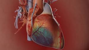 Coronary Artery Bypass Graft Cabg Cardiac Surgery Michigan Medicine University Of Michigan