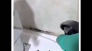 وهو ما يضر بالجدران والأدوات الموجودة في الحمام وقبل ذلك تضر بالصحة. Ù‡Ù„ ÙŠÙ†Ù…Ùˆ Ø§Ù„Ø¹ÙÙ† Ø§Ù„Ø£Ø³ÙˆØ¯ Ø¹Ù„Ù‰ Ø§Ù„Ø¬Ø¯Ø±Ø§Ù† Ø§Ù„Ø¬ØµÙŠØ© Ø§Ù„ØµÙØ­Ø© Ø§Ù„Ø±Ø¦ÙŠØ³ÙŠØ© Ø§Ù„Ù…Ø£Ø¬ÙˆØ±ÙˆÙ† 2021