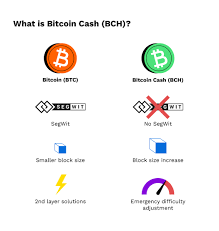 What will be the price of bitcoin cash (bch) tomorrow? What Is Bitcoin Cash Bch Bitpanda Academy