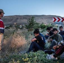 Sie sollen den afghanischen soldaten helfen, gegen terroristen. Smljxjfuup3xrm