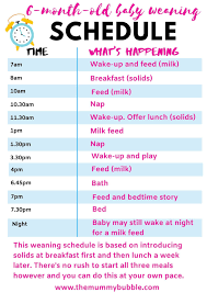 Perfect Daily Schedule For A 6 Month Old Baby Baby Solid Food Schedule Baby Schedule Baby Solid Food