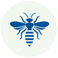 Pest control service in west bridgewater, massachusetts. Burgess Pest Management Massachusetts Pest Control Serving Cape Cod South Shore
