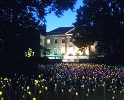 Bruce Munro At Cheekwood Nashville Tennessee Art And Architecture British Artist Photo