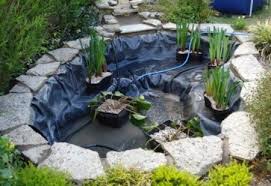 How do you get rid of frogs in your backyard? How To Make A Small Pond Well This One Is About 1 3 Of My Garden But The Local Frogs Would Be Sooooo Happy Ponds Backyard Garden Pond Design Pond Landscaping