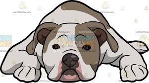 Crediting isn't required, but linking back is greatly appreciated and allows image authors to gain exposure. An American Bulldog Looking Sleepy American Bulldog Bulldog Drawing Dog Drawing