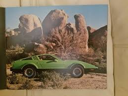 Image result for Safety Green 1975 Bricklin
