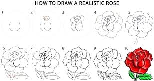 All you will need is a pencil, a piece of paper, and perhaps an eraser. Drawing Rose Step By Step Rose Flower Drawings Easy