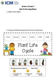 Add up to 3 kids · learn on any device · completely child safe Science Plant Life Cycle Grade 1 Worksheet