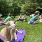 GOaT Yoga In The Woods
