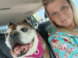 How long do your dog walks usually last?