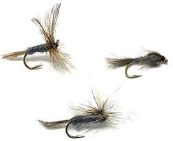 Squaretail flies & guide service. Angelsport Blue Dun Dry Fly Trout Grayling Fly Fishing Flies By Dragonflies Koder Futtermittel Fliegen