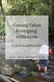 Gunung tahan, located in taman negara is one of the most challenging mountains to climb. Gunung Tahan Besteigung In Malaysia Taman Negara Malaysia Reise Malaysia Urlaub