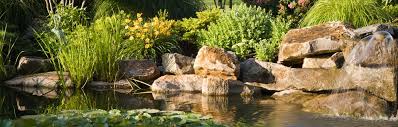 Enhance your outdoor space with my landscaping services. Vancouver Wa Water Management