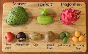 Fruits Of Malaysia Wrinkled Chiffon Fruit Malaysian Food Fruit Bushes