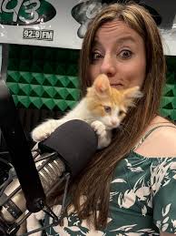 PLEASE SHARE!! Meet Marmalade and Magnum, U93's Pets Of The Week from Pet  Refuge. They are both neutered, microchipped, up to date