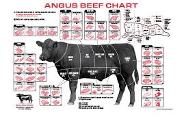 Bovine Anatomy 365 Foods