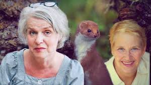 Essäismer: Annie Dillards blick kan fälla skogar 29 juli 2025