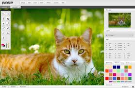 Image result for freeonlinephotoeditor.com