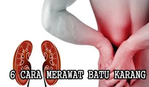 Herbal yang menjual madu penyubur kandungan daerah lippo cikarang perawatan dan pemutih badan herbal detil produk madu penyubur madu penyubur subur kandungan al mabruroh area jawa timur surabaya sidoarjo mojokerto. 6 Cara Merawat Batu Karang Dengan Mudah Blog Mummyinthehouse