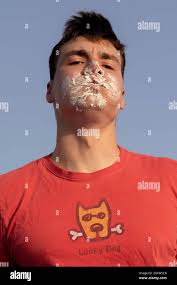 Guse hi-res stock photography and images