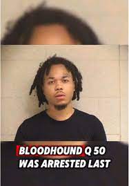 BloodHound Q50 Arrested in Chicago: Details Emerging | TikTok