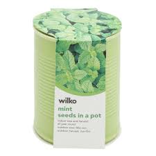 To keep mint from taking over space needed by other plants, you may want to plant it solo in a 10″ pot, then plant the pot in a larger container or even in the ground. Wilko Mint Seeds In A Pot Wilko