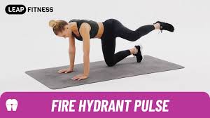 The fire hydrant exercise is a great way to reinforce core stability, so we'll further explain the technique by which you should be engaging this muscle group. How To Do Fire Hydrant Pulse Youtube