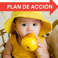 Region 44 — Birth to Five Illinois